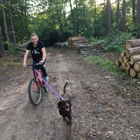 Mrowisko 3* Maslowice (Slawno)