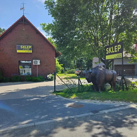 Mrowisko Pensión Maslowice (Slawno)