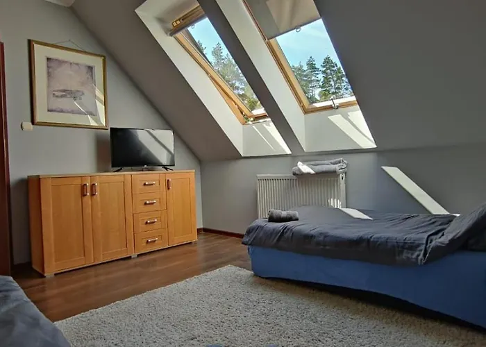 Mrowisko Maslowice (Slawno)