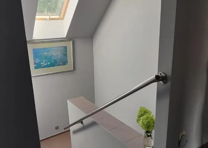 Mrowisko Pensión Maslowice (Slawno)