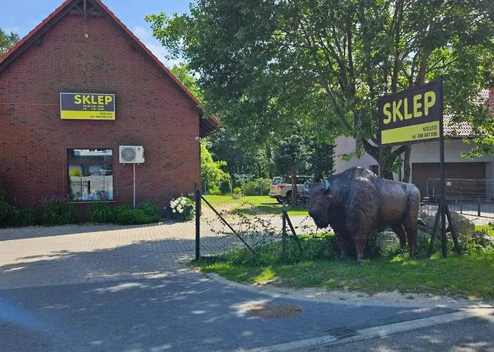 Mrowisko Pensión Maslowice (Slawno)